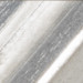 Silver Leaf
